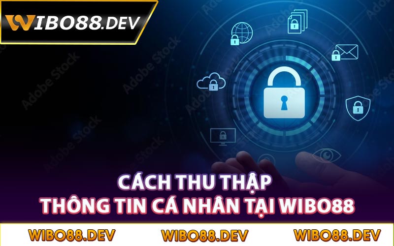 Cách thu thập thông tin cá nhân tại Wibo88