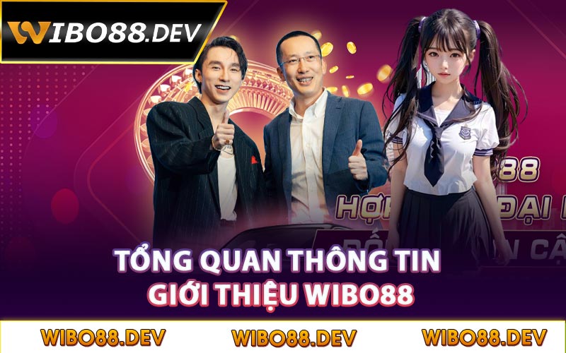 Tổng quan thông tin giới thiệu Wibo88