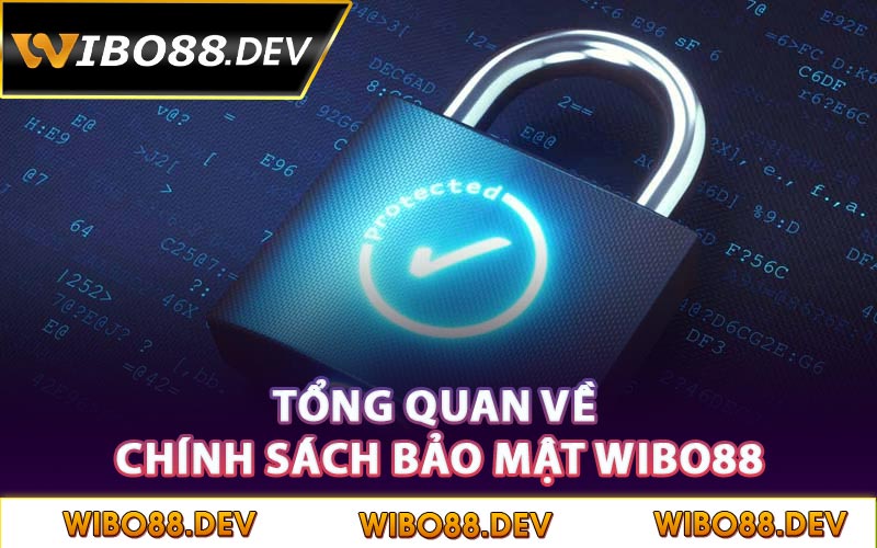 Tổng quan về chính sách bảo mật Wibo88