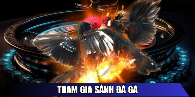 Đá Gà WIBO88 – Hệ Thống & Hình Thức Giải Trí Trực Tuyến